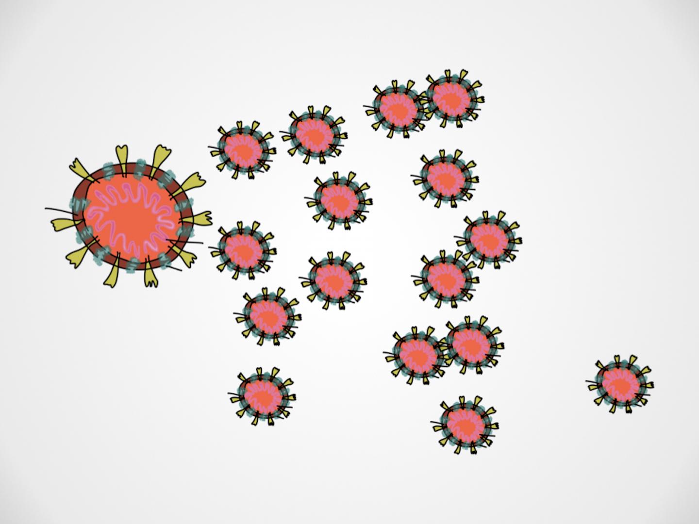 El coronavirus que provoca la enfermedad del Covid-19 se llama SARS-CoV2. 