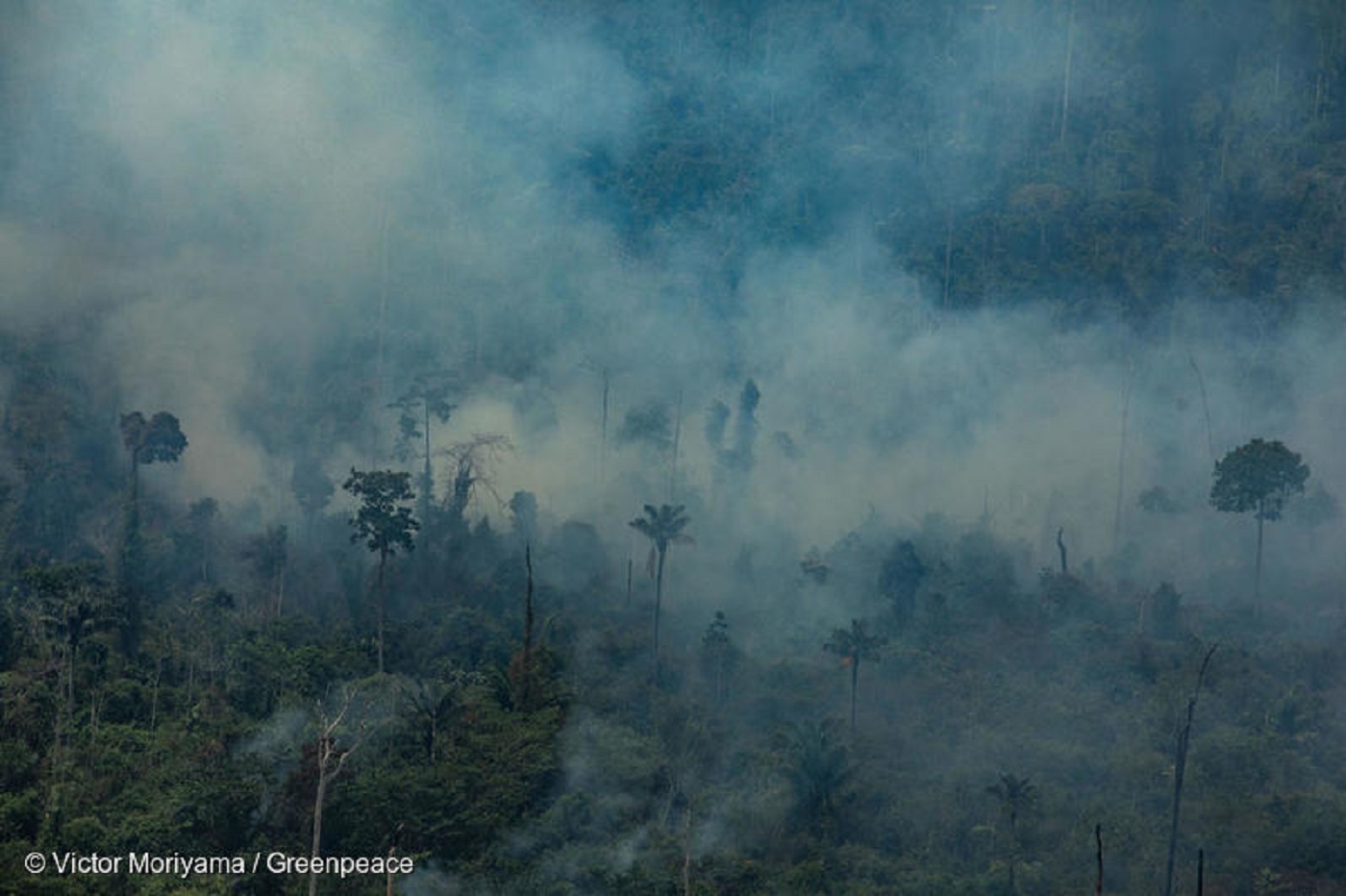 IMPACTO. La amazonía brasileña enfrentó el 2019 uno de los incendios forestales más grandes de los últimos años. 