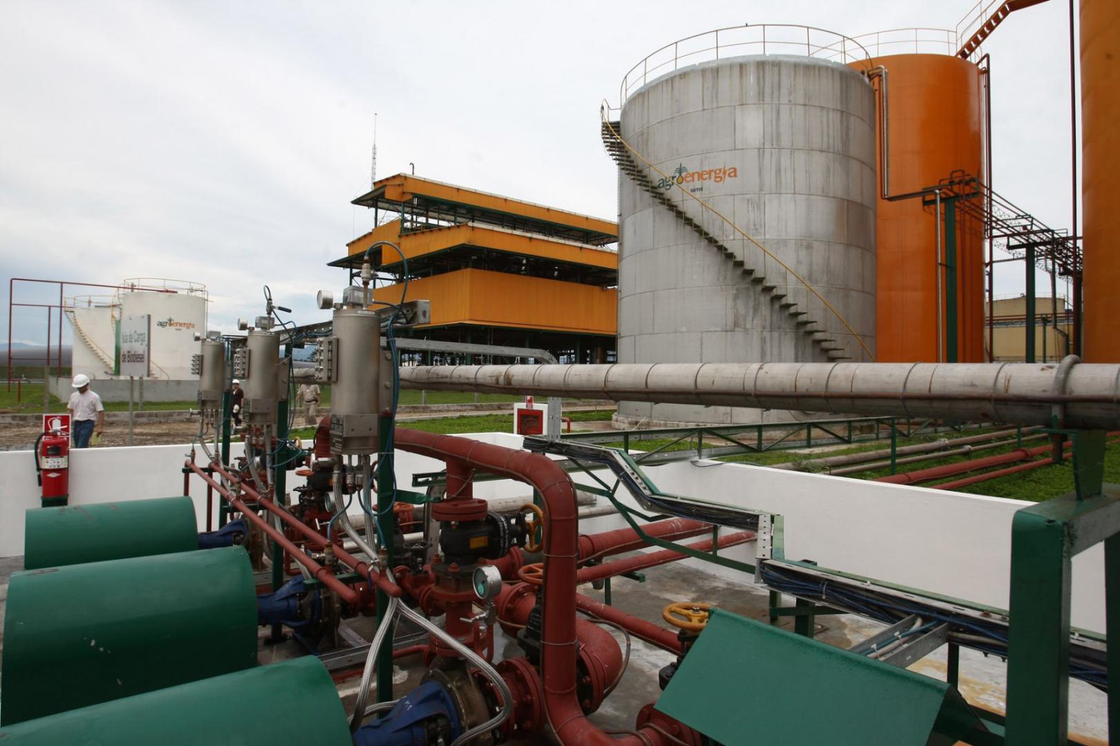 PRODUCCIÓN. El Grupo Palmas es el principal conglomerado econónomico dedicado a la producción de aceite de palma en el país. Opera en Loreto, San Martín y Ucayali.