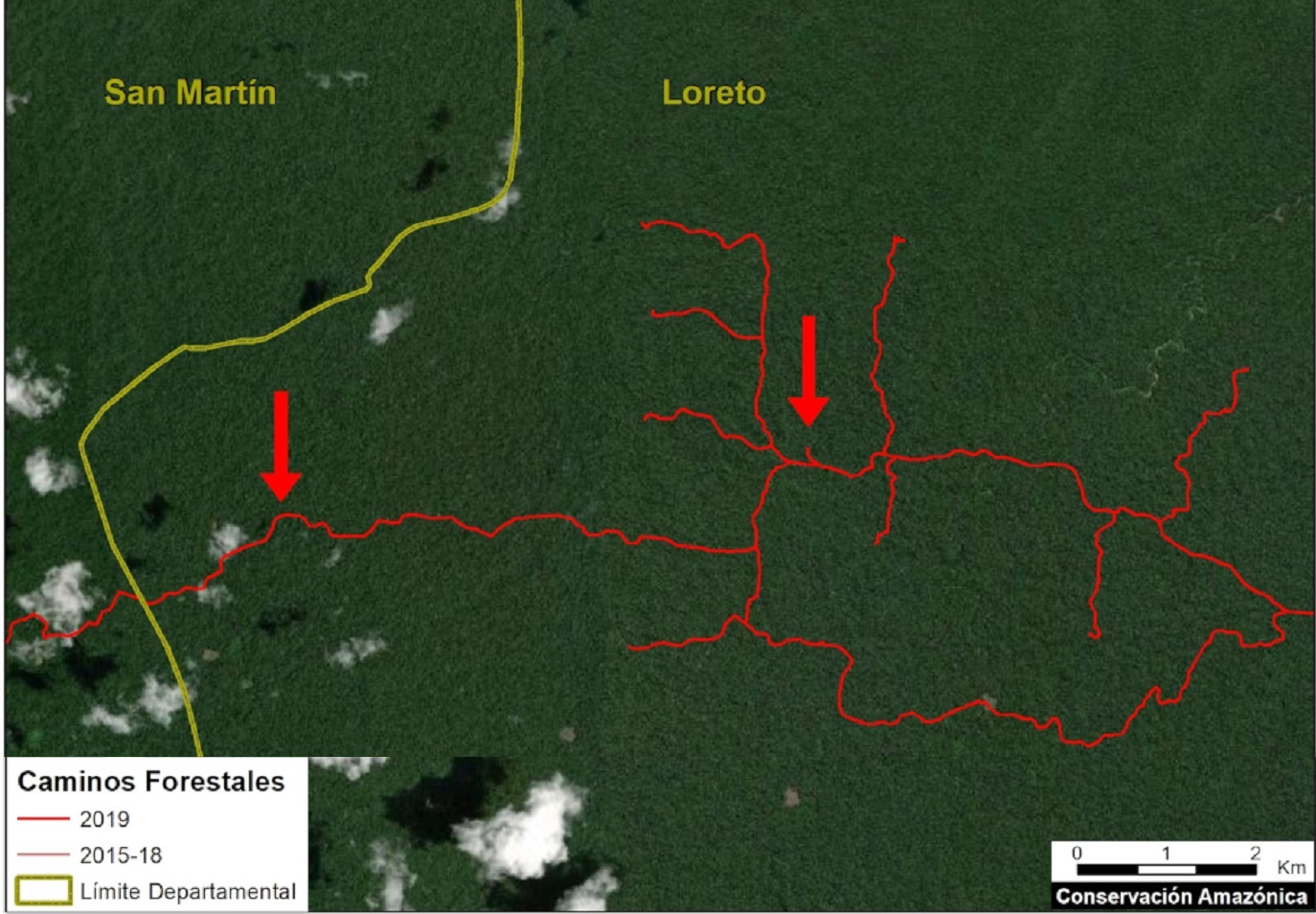 ANÁLISIS. Un trabajo del MAAP muestra el incremento de caminos forestales en regiones de la Amazonía peruana durante el 2019.