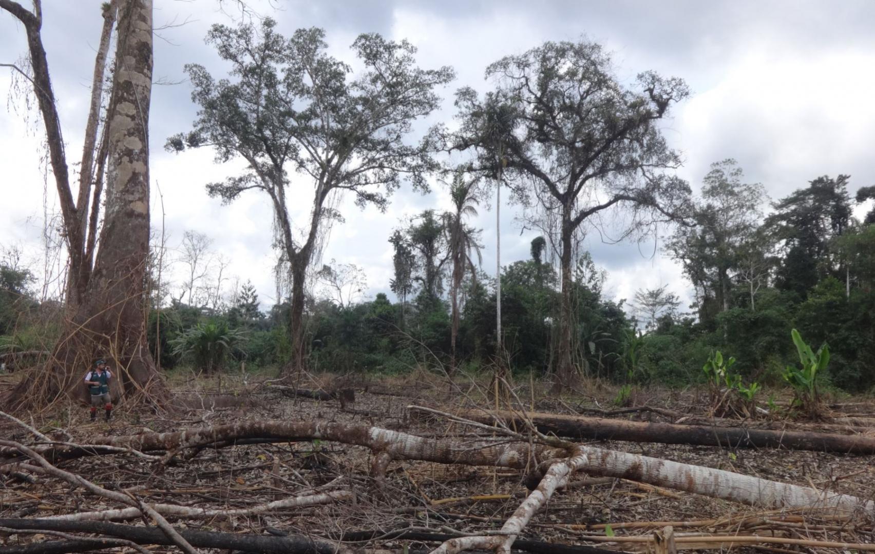 CAMBIOS. Proyecto del Minagri propone que empresas tengan un período de dos años para solicitar certificaciones ambientales al Estado peruano.
