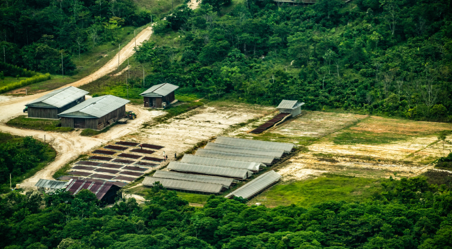 RUTAS. Tamshi SAC transporta y comercializa cacao desde el fundo Tamshiyacu en Loreteo hacia Lima. Imagen tomada el 6 de agosto del 2019.