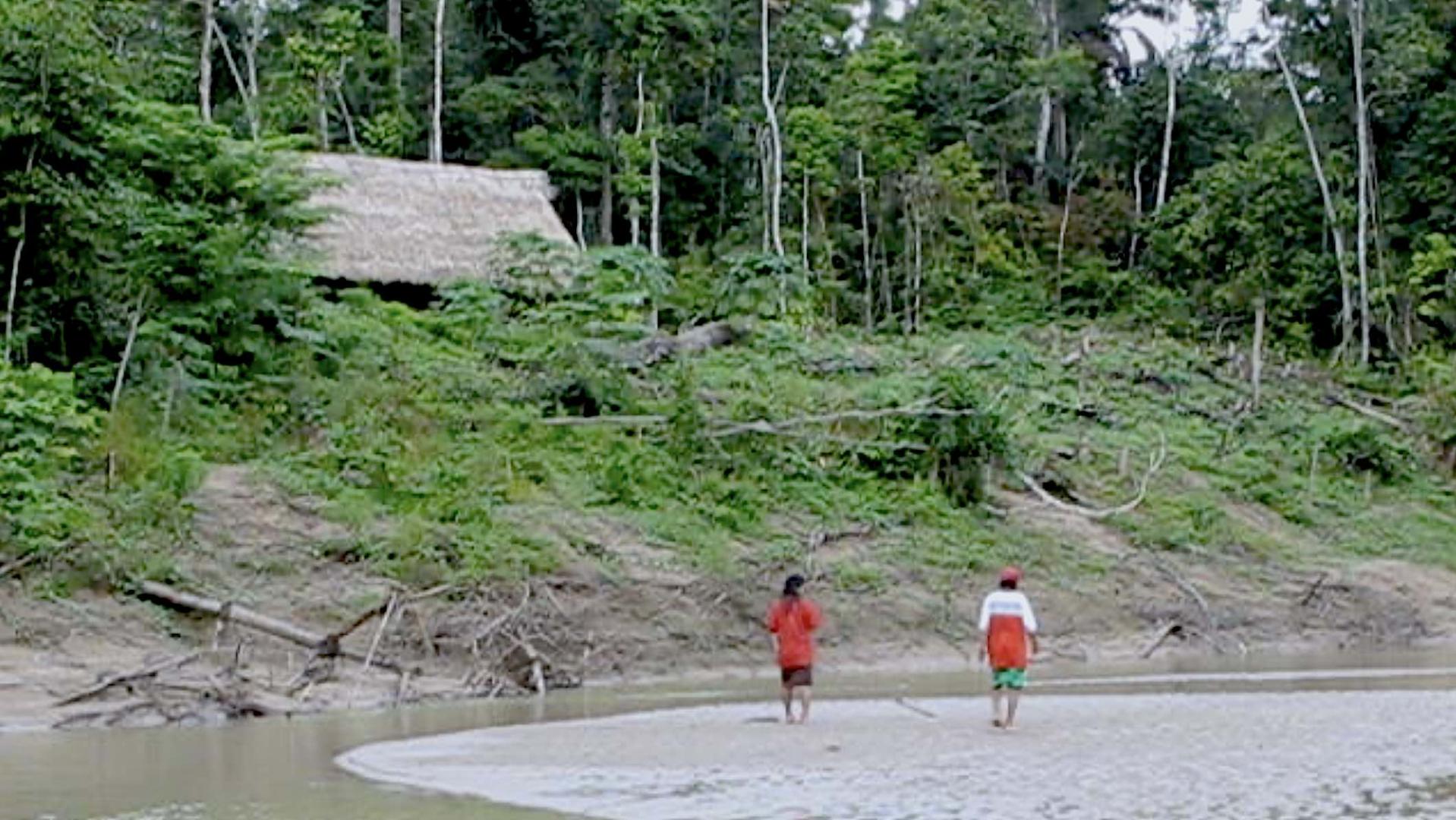 Los mastanahua vivían entre los bosques de Purús, en la frontera con Brasil.