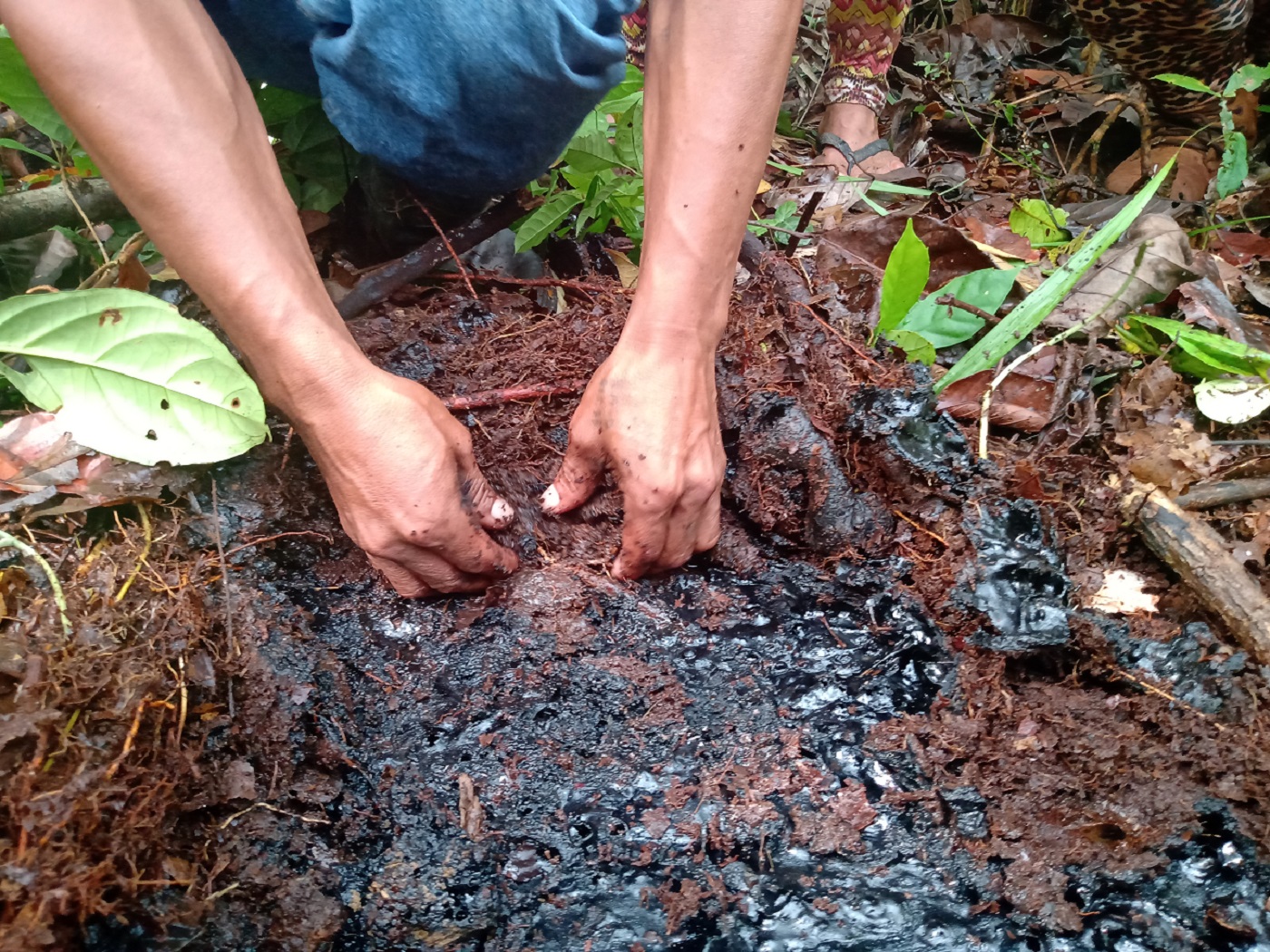 REMEDIACIÓN. Pese a las denuncias de las comunidades indígenas, pozos abandonados y zonas donde Pluspetrol extraía petróleo permanecen en los alrededores de los bosques.