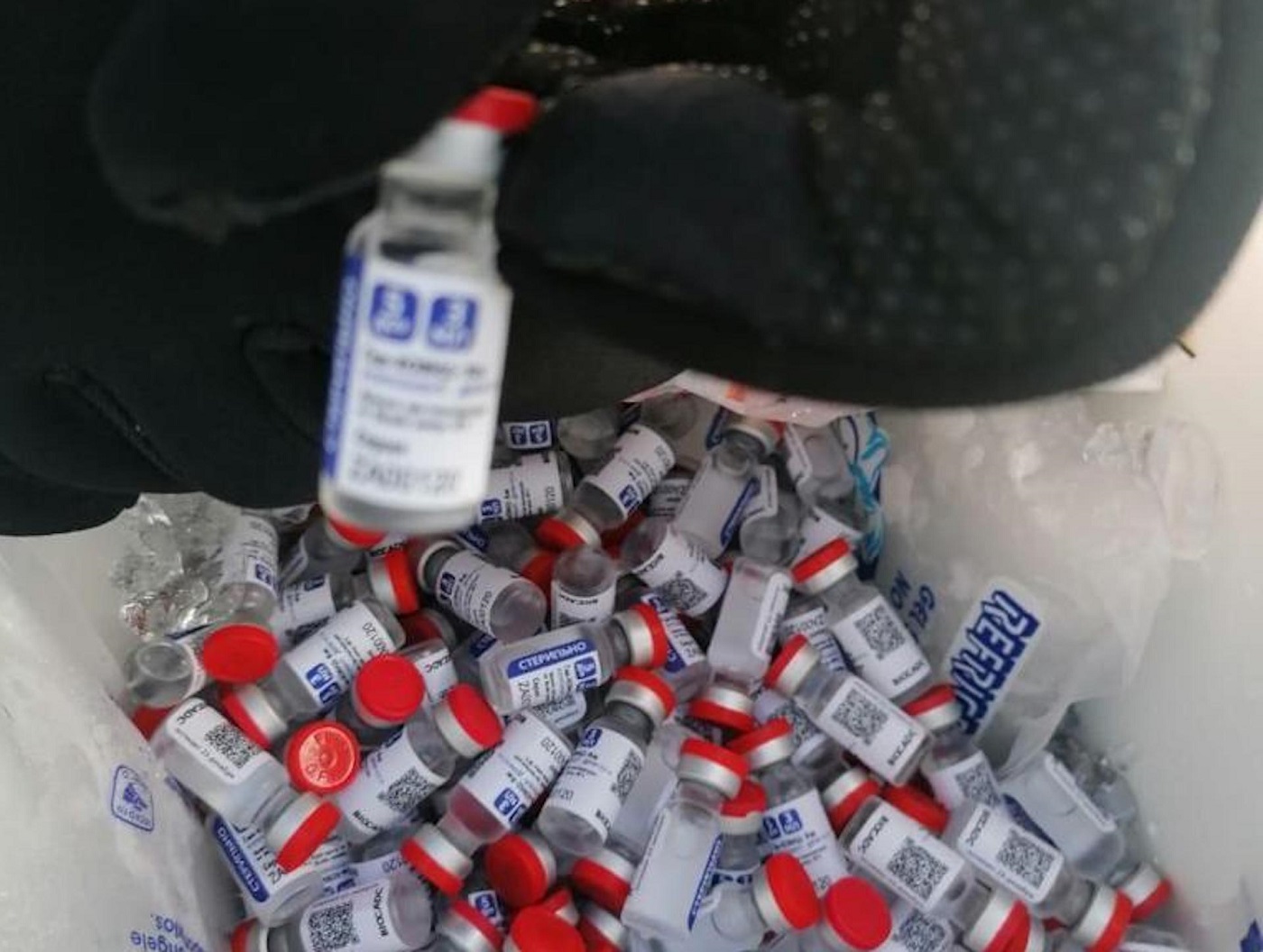 FRAUDULENTAS. Las autoridades sanitarias de México han emitido seis alertas de vacunas falsas que circulan en el país en los últimos 40 días.