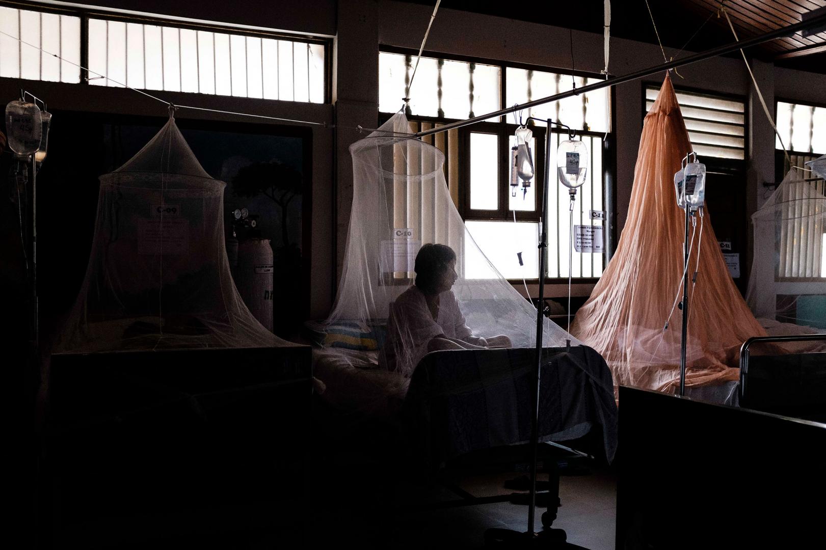 VIRALES. En lo que va de este año los casos de dengue se han incrementado en el Perú respecto al mismo período del 2020. 
