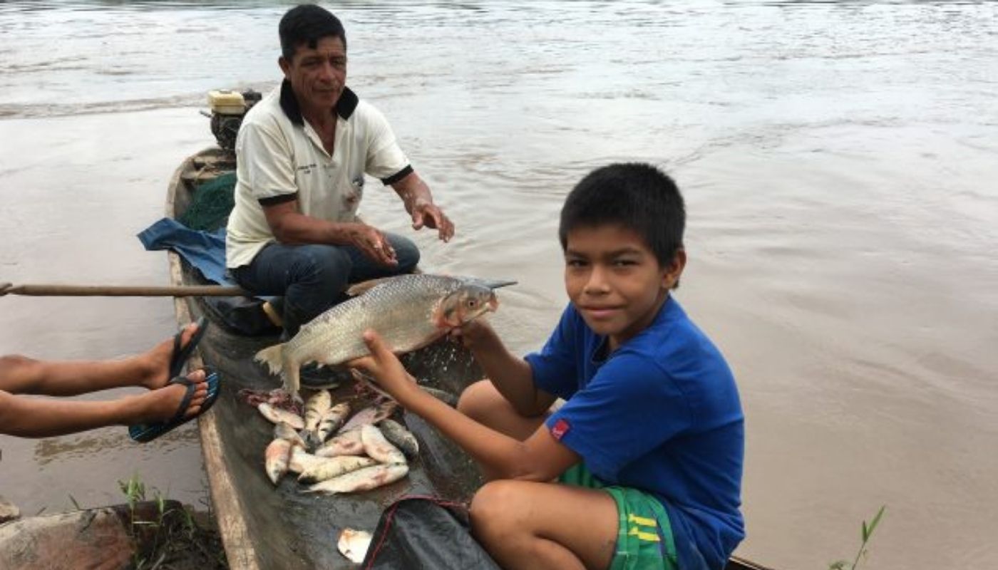 PESCA. Uno de los peces más consumidas en la Amazonía peruana: un boquichico, especie que mide en promedio 24 centímetros. 
