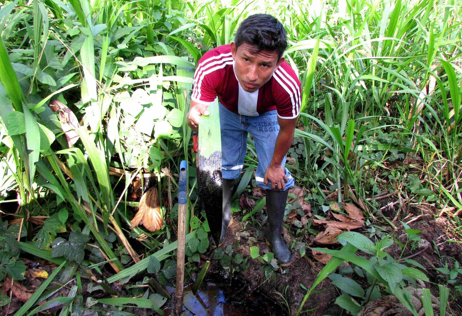 CRISIS. Solo durante la pandemia se han producido 45 derrames de petróleo en Loreto.