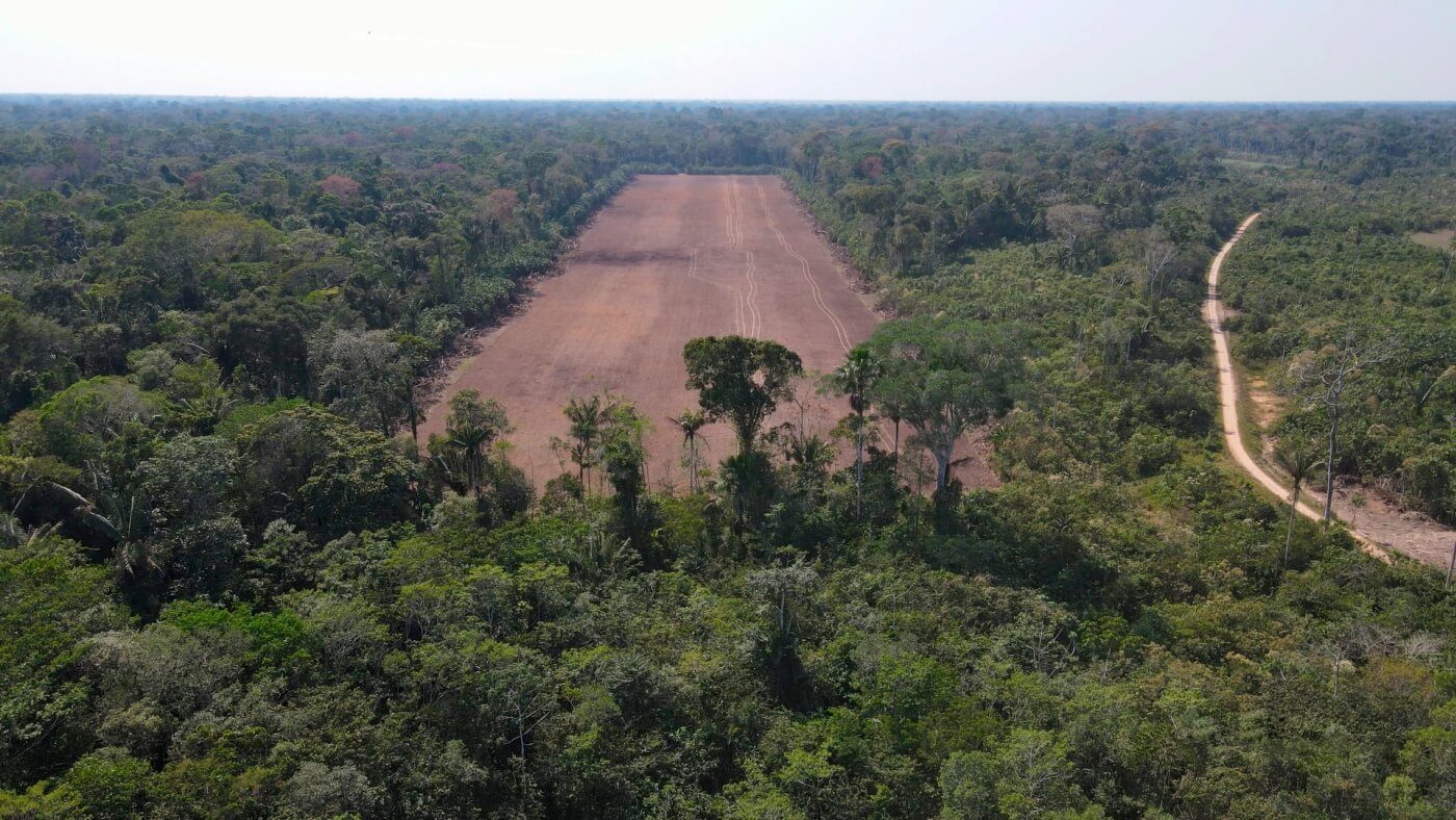 DESTRUCCIÓN. La colonia menonita en Ucayali ha deforestado 800 hectáreas de bosques en comunidades indígenas. 
