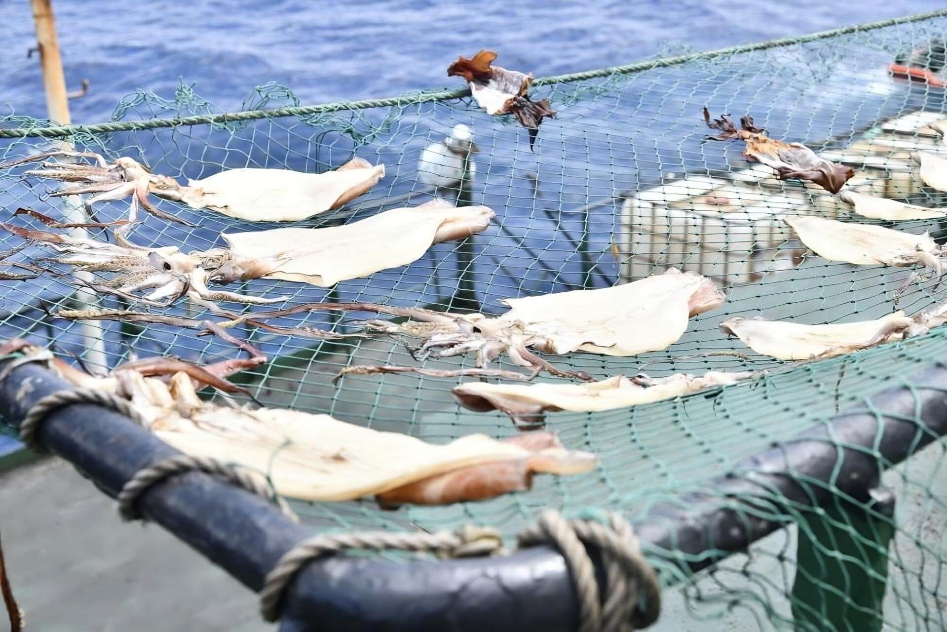 FLOTA GIGANTE. En 2020, China pescaba más de 2.200 millones de kilos de mariscos al año, que en su mayoría era calamar, según varias fuentes. Ningún otro país se acerca a esos valores. 