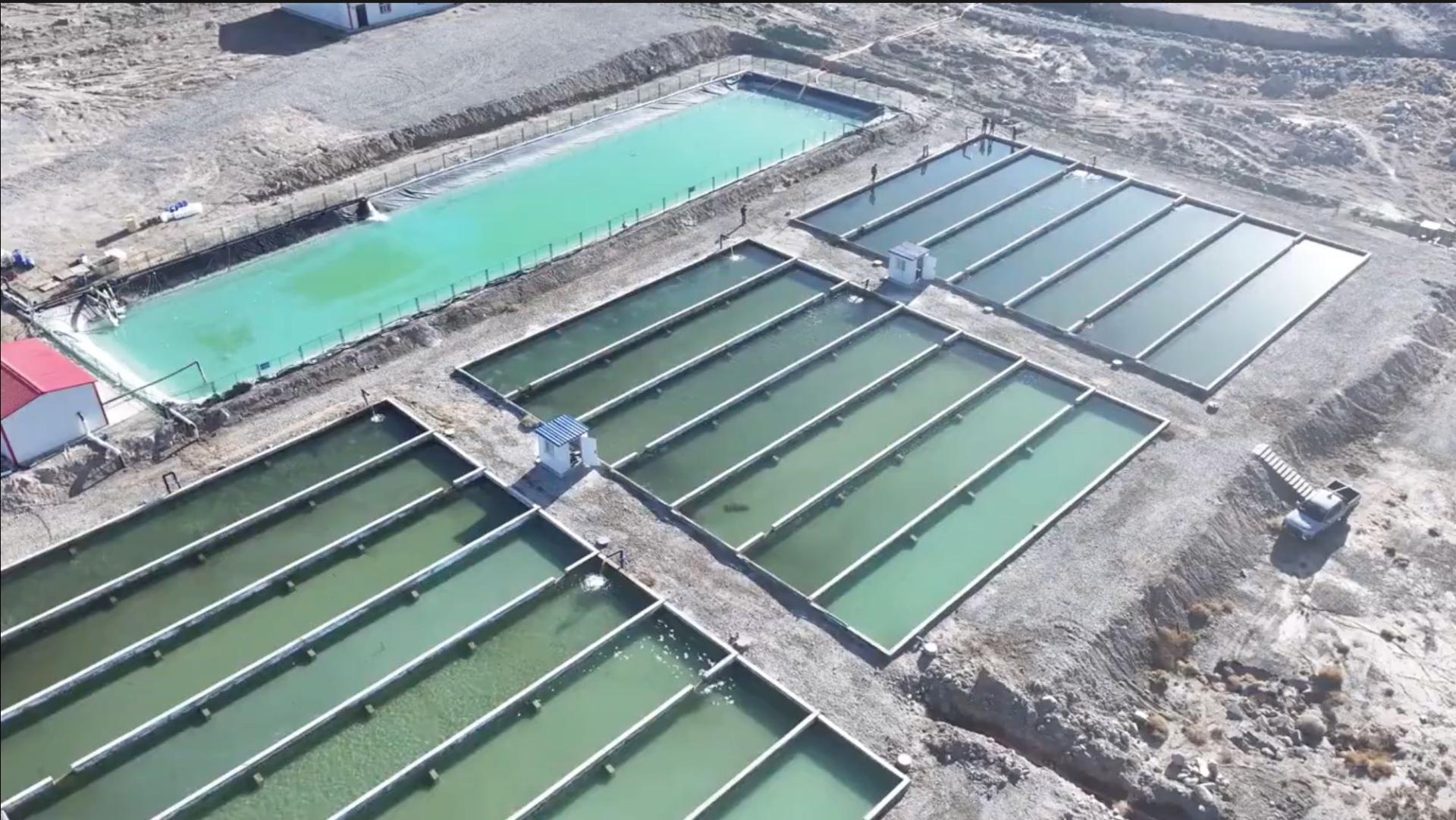 PISCIGRANJAS. En 2023, la empresa acuícola Hotan Yujianjianglai comenzó a criar bacalao, lubina y carpa en una piscifactoría de 13 acres, situada en el extremo sur del desierto de Taklamakán.