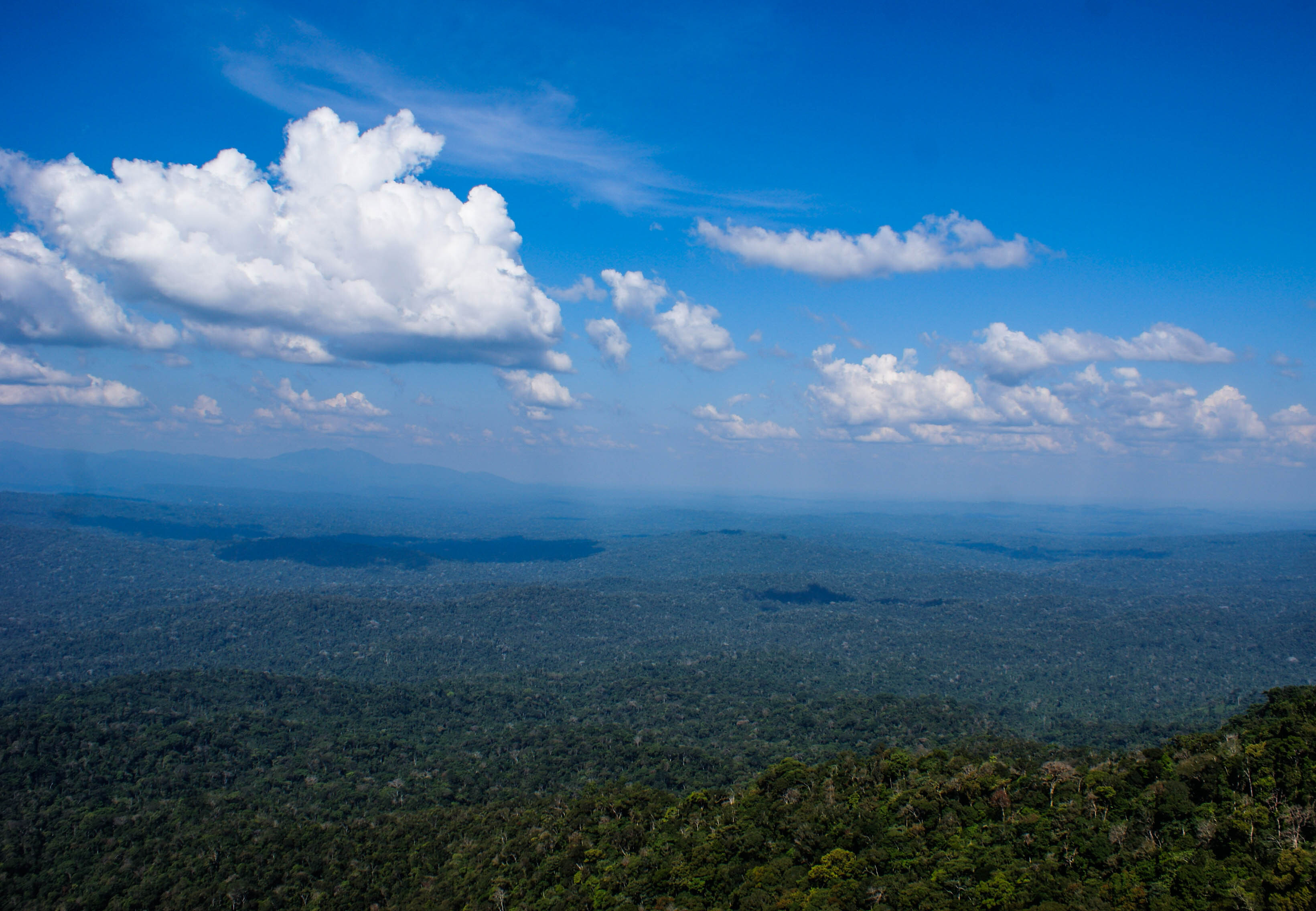 Amazonía vista desde el aire.