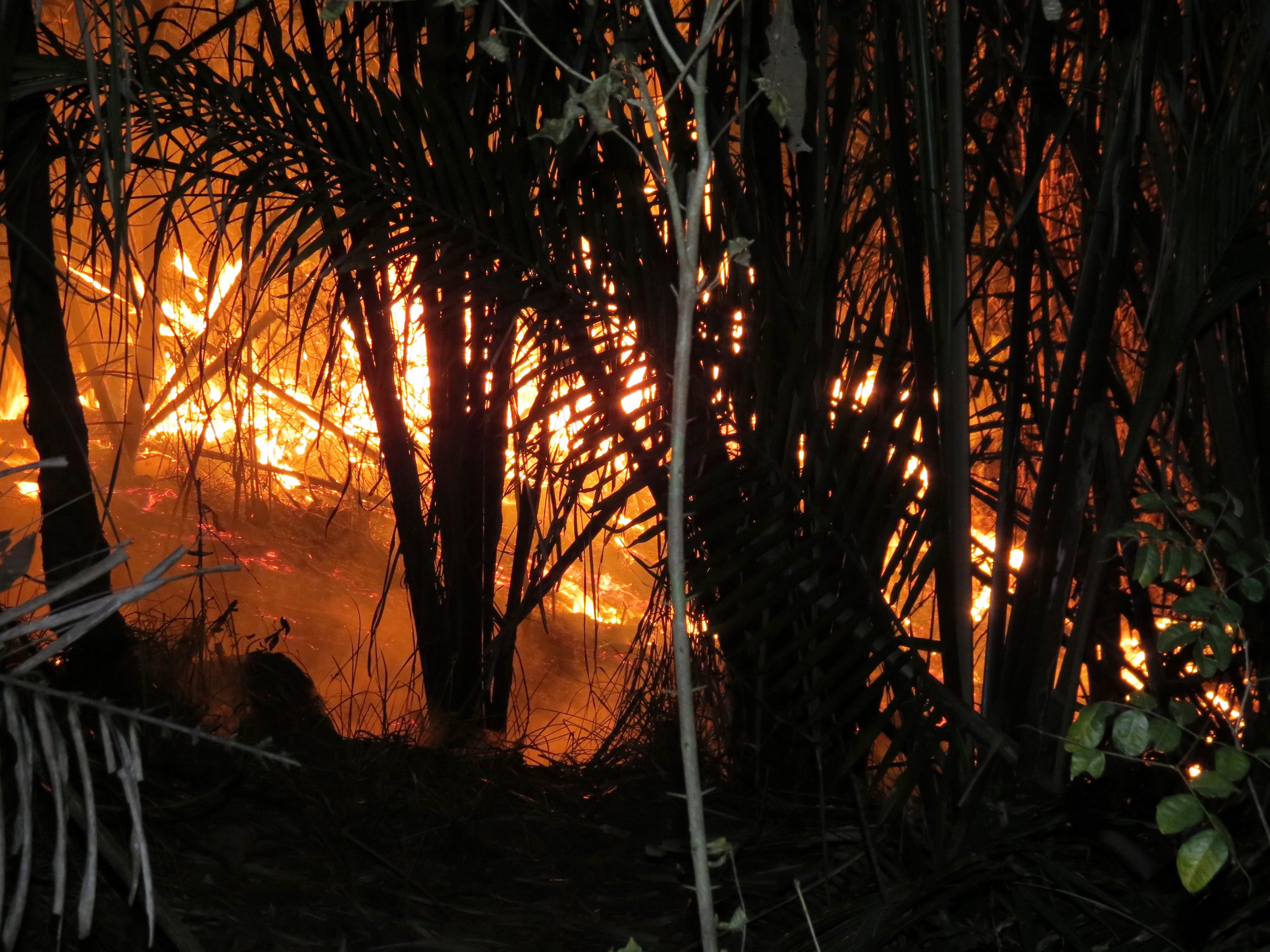 Incendios en la Amazonía