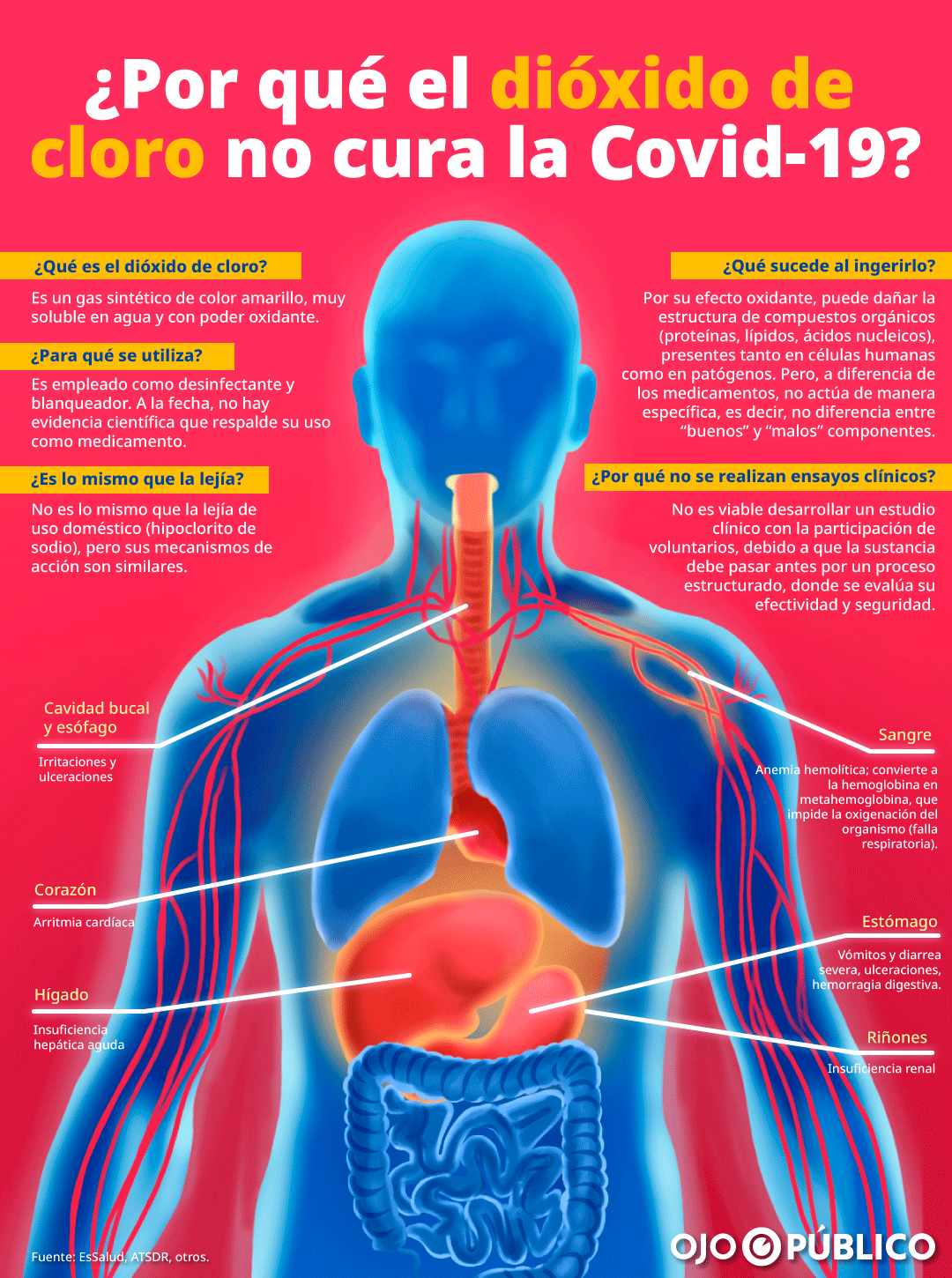 Infografía. ¿Por qué el dióxido de cloro no cura la Covid-19?