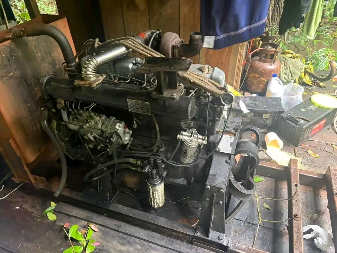 Motor