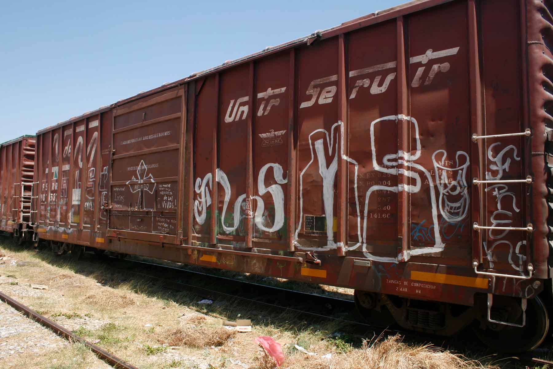 Tren de carga La Bestia