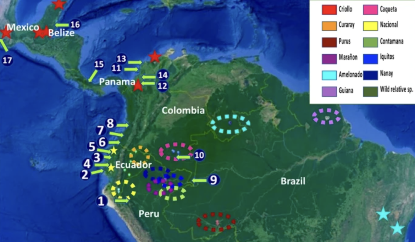 Zonas evaluadas estudio