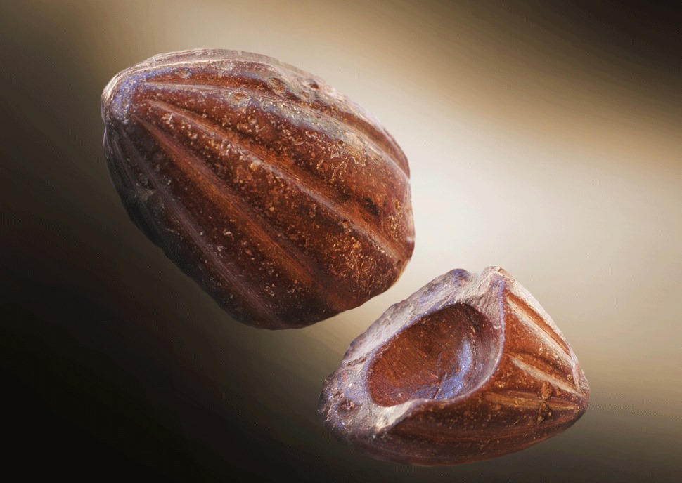 Mortero de cacao - Francisco Valdez