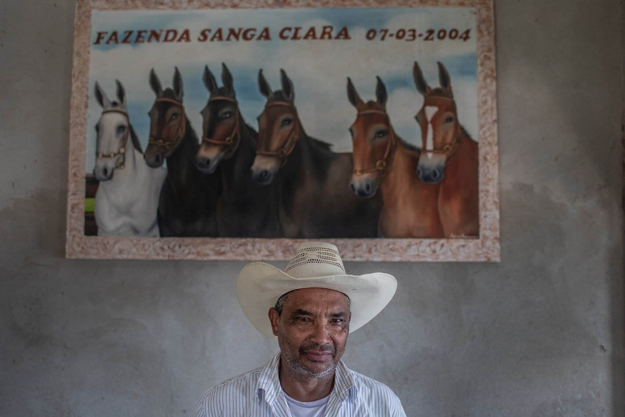 Odilon Caetano Felipe, un ganadero, reconoció que había deforestado tierras en Jaci-Paraná, una zona protegida.