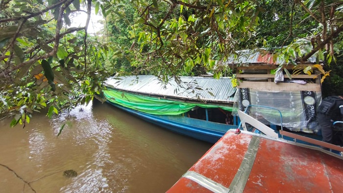Bote
