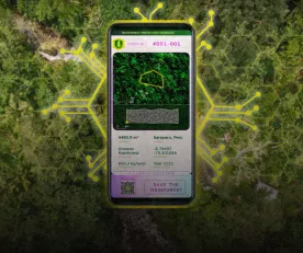 NEGOCIO. En medio del auge de las criptomonedas durante la pandemia, una empresa alemana compró tierras en Loreto y las puso a la venta como criptotokens NFT.