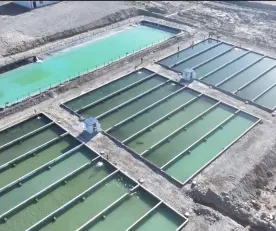 PISCIGRANJAS. En 2023, la empresa acuícola Hotan Yujianjianglai comenzó a criar bacalao, lubina y carpa en una piscifactoría de 13 acres, situada en el extremo sur del desierto de Taklamakán.