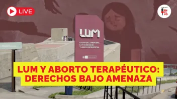 La disputa por el LUM y el pedido de un diputado para acceder a información clínica sobre un aborto terapéutico.