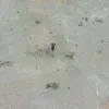 TERRENO. León López hace ejercicios sobre una superficie, cubierta de grava y tierra, en el parque Sinchi Roca.
