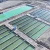 PISCIGRANJAS. En 2023, la empresa acuícola Hotan Yujianjianglai comenzó a criar bacalao, lubina y carpa en una piscifactoría de 13 acres, situada en el extremo sur del desierto de Taklamakán.