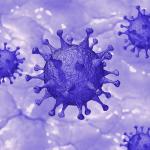 CORONAVIRUS. El nombre del virus que produce la enfermedad Covid-19 es el SARS-Cov-2