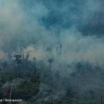 IMPACTO. La amazonía brasileña enfrentó el 2019 uno de los incendios forestales más grandes de los últimos años. 