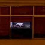 El mundo que veo desde mi ventana: un ensayo fotográfico de la pandemia