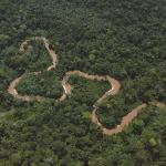 RECURSOS. Investigadores resaltan el alto porcentaje de biodiversidad en territorio peruano.