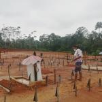 DOLOR. Según la Defensoría, más de 400 víctimas de la Covid-19 fueron enterradas en un improvisado cementerio. 