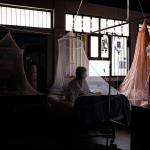 VIRALES. En lo que va de este año los casos de dengue se han incrementado en el Perú respecto al mismo período del 2020. 