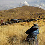 ALTIPLANO. Solo en la región Puno, en Perú, habitan más de 128 mil personas.