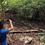 MONITORES. Apoyados de la tecnología, miembros de las comunidades indígenas alertan sobre casos de deforestación en sus territorios. 