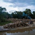CUESTIONADAS. Entre las empresas con concesiones forestales en Loreto figuran madereras sancionadas por extracción ilegal de este recurso.