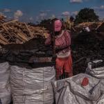 WITHOUT LABELING. Charcoal brands do not provide details on the origin of the forest species or the sustainability of the product they market. 