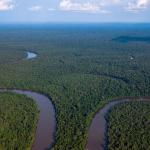 AMAZONÍA. Entre los años 2013 y 2022, se redujo en un millón de hectáreas el agua superficial en los países que conforman la cuenca amazónica.