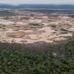 LA PAMPA.  Perú es uno de los mayores productores de oro del mundo de origen ilegal, como el que procede de La Pampa, en Madre de Dios.