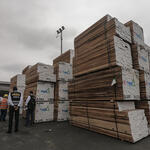 INCAUTACIÓN. Más de 309 metros cúbicos de madera cumala iban a ser enviados al puerto de Manzanillo en México.