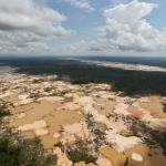 NUMEROSOS. 19 candidatos aspiran ser el próximo gobernador de Madre de Dios, región de la Amazonía donde se concentra la minería ilegal del Perú.