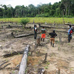 DEFORESTACIÓN. Los campos de cultivos de hoja de coca implican la quema de hectáreas de bosque.