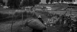 VULNERABLES. Más de la mitad de las mujeres que viven en áreas rurales perdió su trabajo remunerado durante la pandemia.