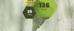 Mapa de bonos de carbono