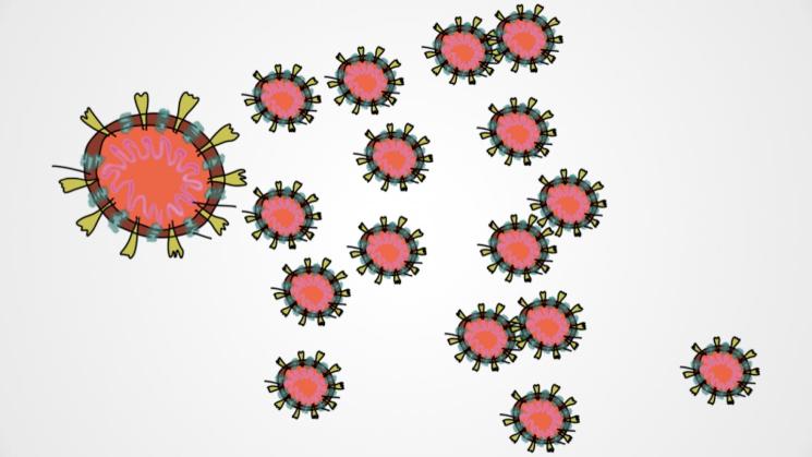 El coronavirus que provoca la enfermedad del Covid-19 se llama SARS-CoV2. 