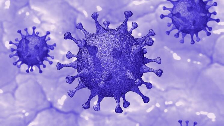 CORONAVIRUS. El nombre del virus que produce la enfermedad Covid-19 es el SARS-Cov-2