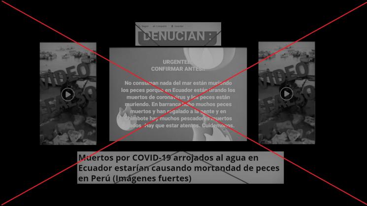 ALARMA. Versión circuló en distintos formatos: imagen, audio y video.