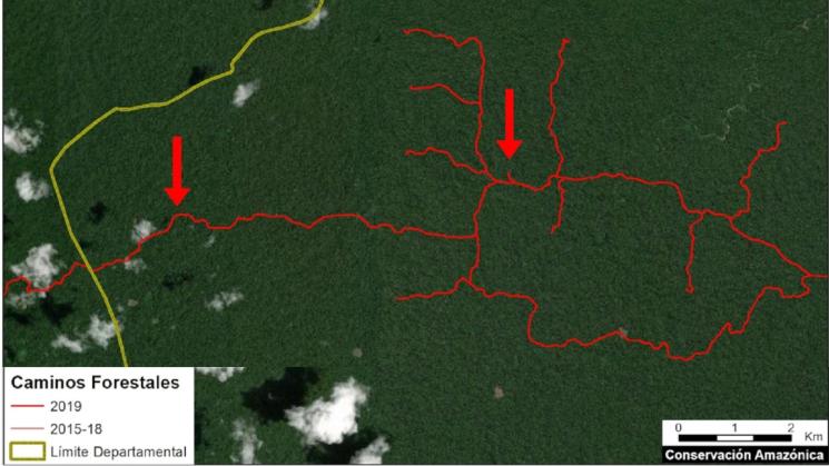 ANÁLISIS. Un trabajo del MAAP muestra el incremento de caminos forestales en regiones de la Amazonía peruana durante el 2019.
